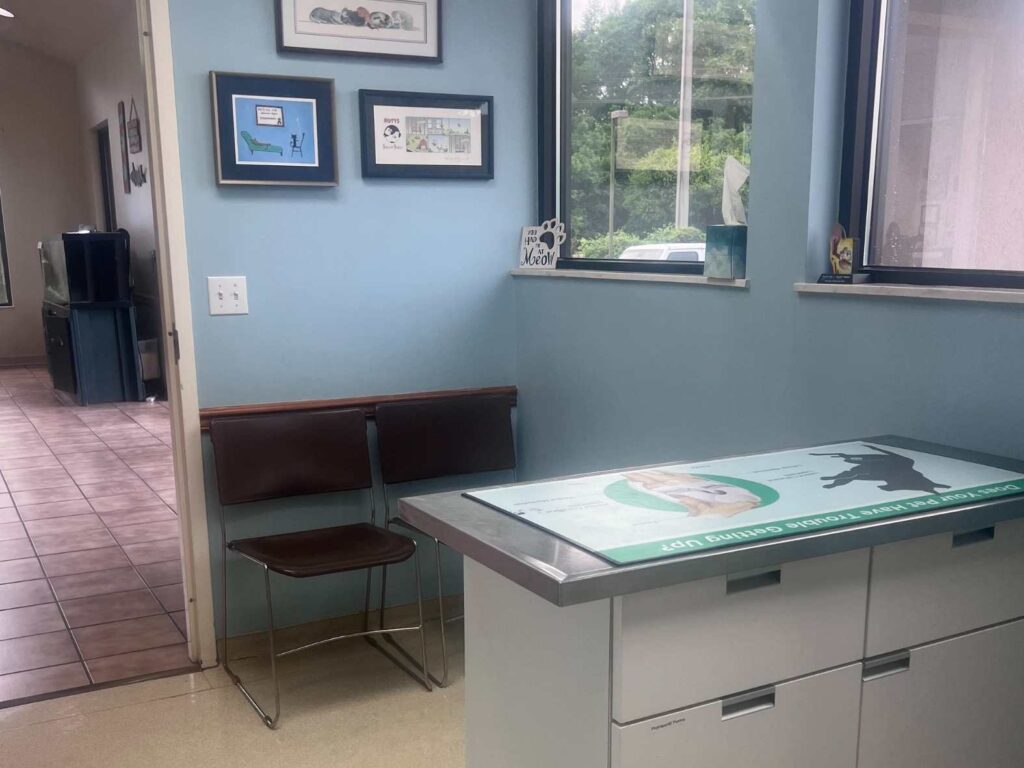 Oak Ridge Veterinary Hospital Gallery Waiting area Oak Ridge Veterinary Hospital Gallery exam room