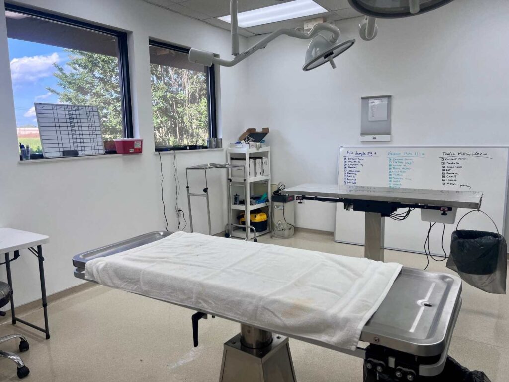 Oak Ridge Veterinary Hospital Gallery OT Oak Ridge Veterinary Hospital Gallery OT
