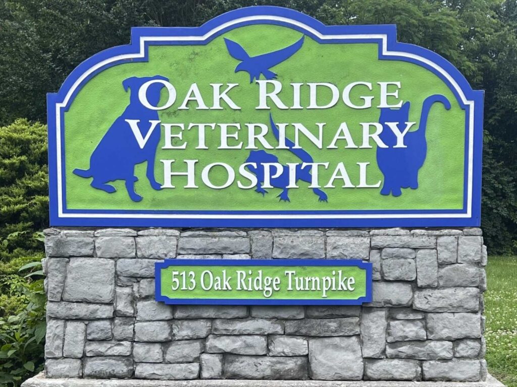 Oak Ridge Veterinary Hospital Gallery Main Gate Oak Ridge Veterinary Hospital Gallery Main Gate